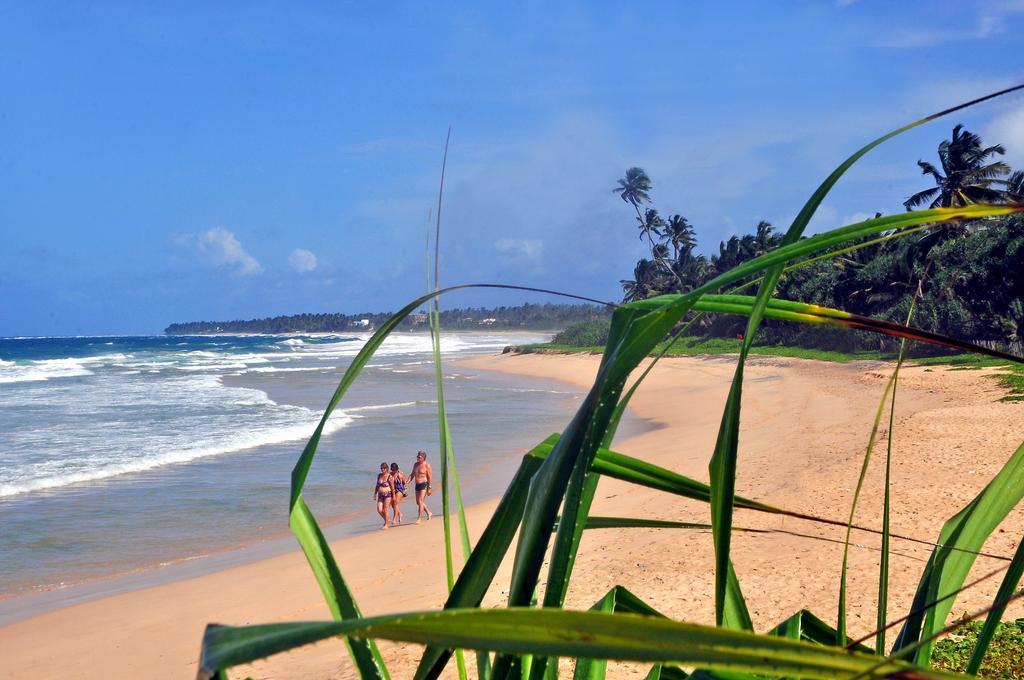 The Beach Cabanas Retreat & Spa Koggala Buitenkant foto