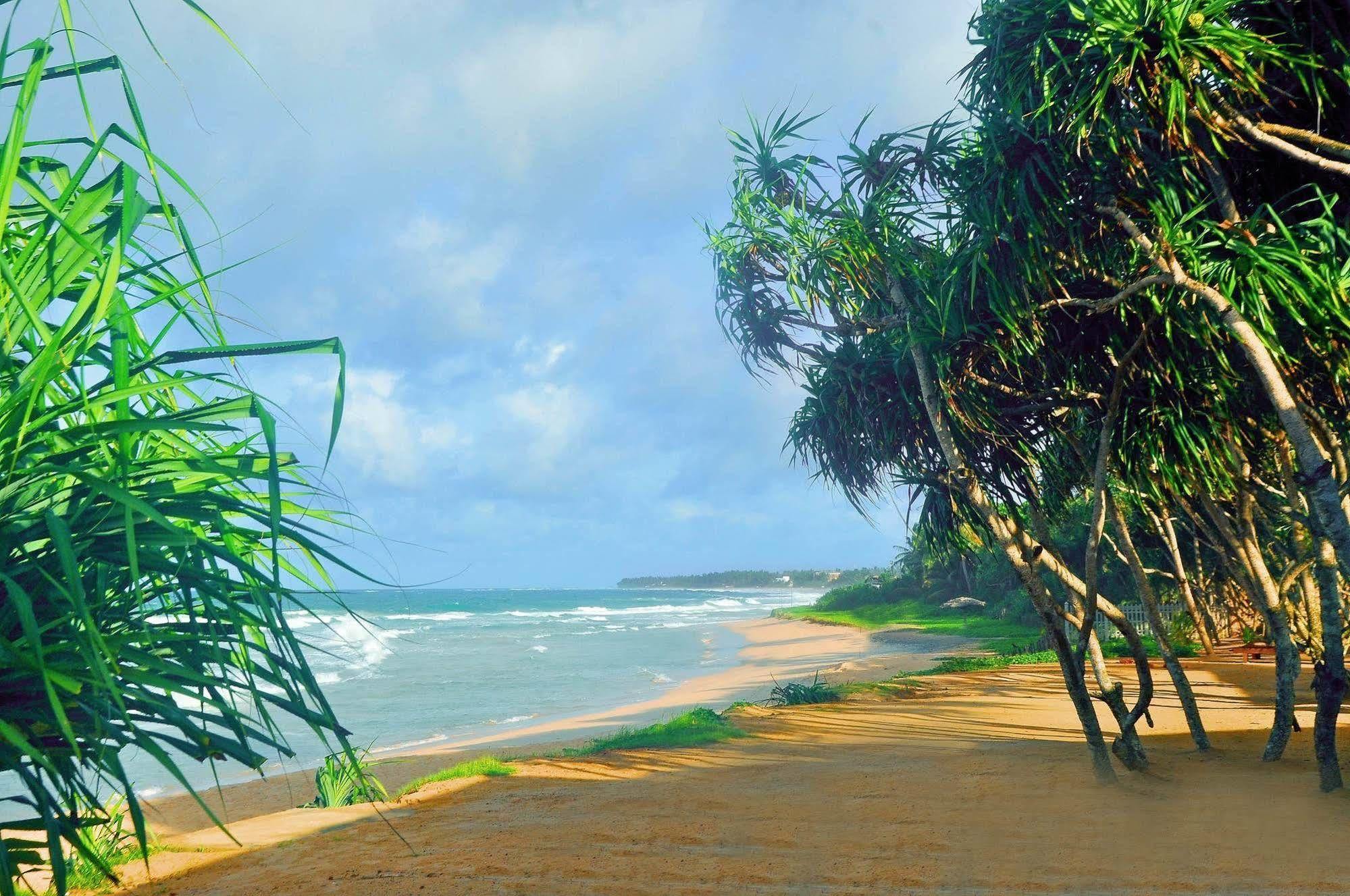 The Beach Cabanas Retreat & Spa Koggala Buitenkant foto